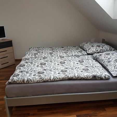 Apartmán V aleji Slavkov u Brna Exteriér fotografie